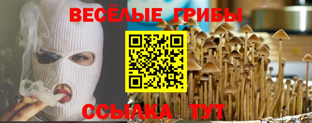 Галлюциногенные грибы Cubensis  Вход с VPN  Армавир 